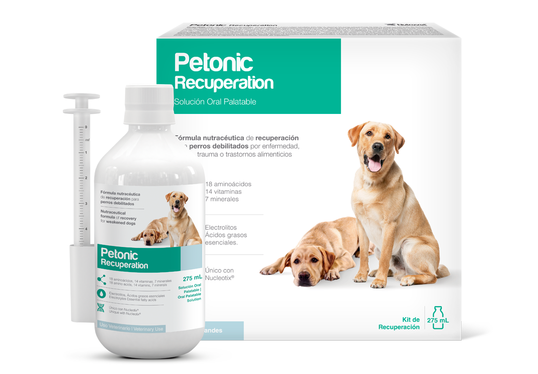 Petonic Recuperation 110 ML