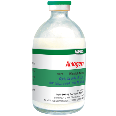 Amogen_chai
