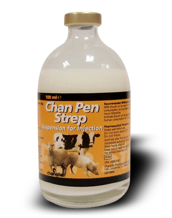 ChanPenStrep_edited-1