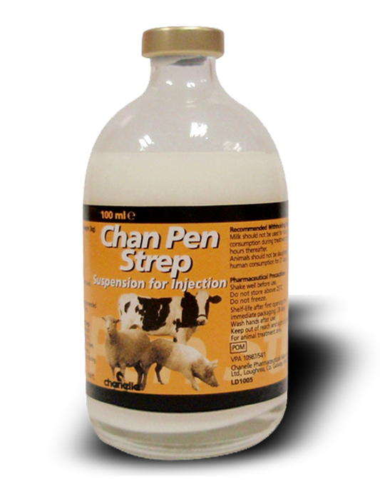 ChanPenStrep_edited-1