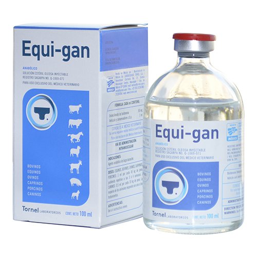 Equi-gan-6-1-1