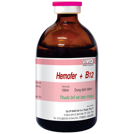 HemoferB12