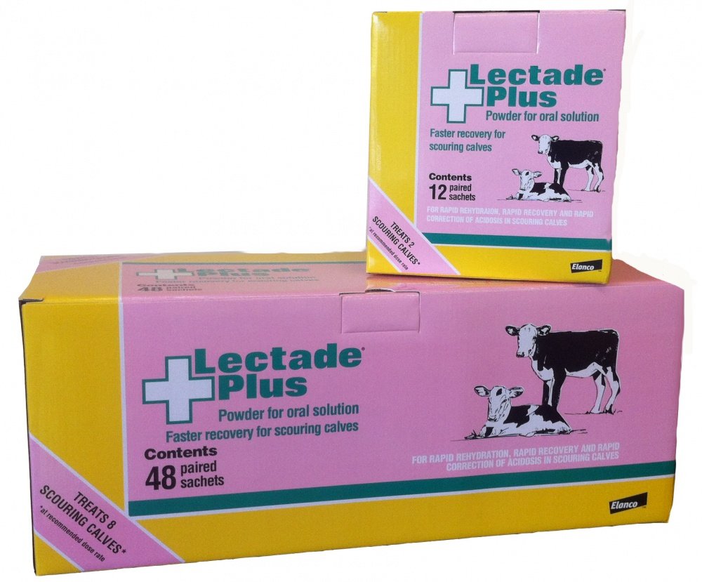 LACTADE PLUS 100 GRAM