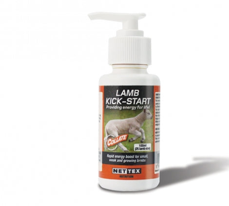 Lamb Kickstart_RGB