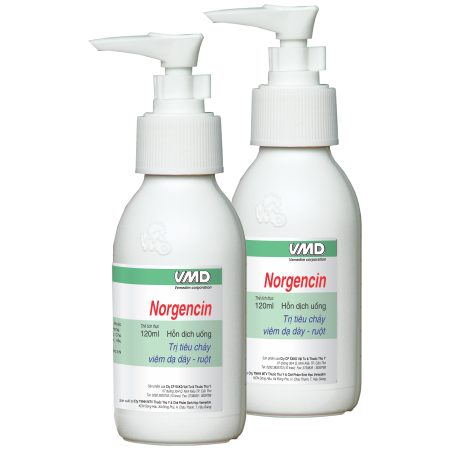 NORGENCIN FORT 250 ml Oral solution