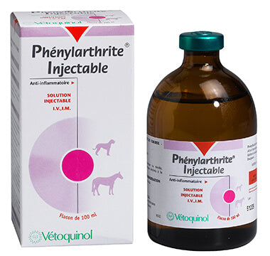 Phenylart1.inj_.-100ml