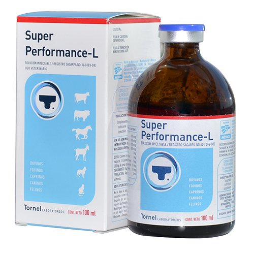 Super-Performance-L-6-1-1