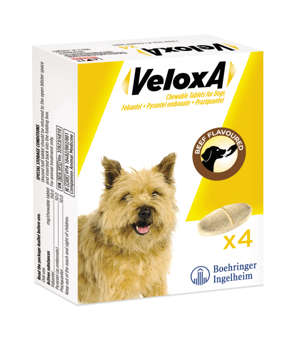 VELOXA® WORMING TREATMENT FOR DOGS 4 tabs