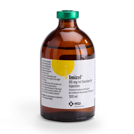 Imizol 100 ml MSD babesiosis treatment