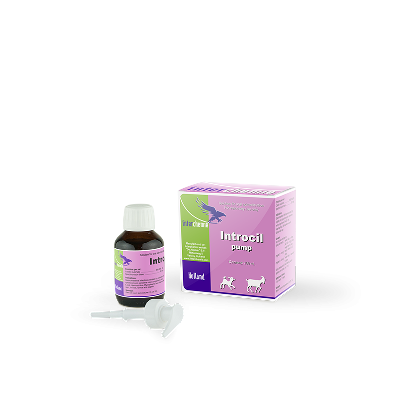 medicine_oral_-_introcil_pump_-_100ml