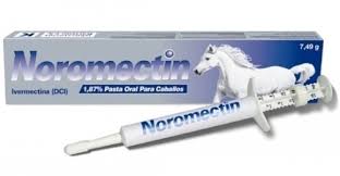noromectin paste