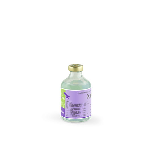 xyla_-_50_ml_vial_ (1)