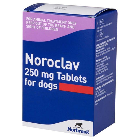 Noroclav 250mg Tablets for Dogs 250s