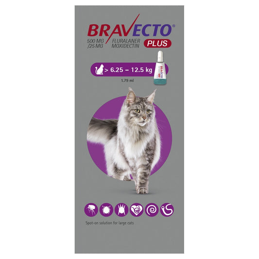 Bravecto Plus 500mg Spot-On Solution for Large Cats