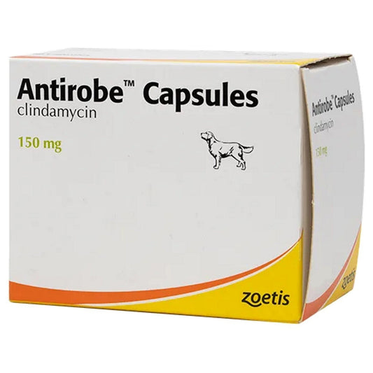 Antirobe 150mg Capsules for Dogs 80 caps