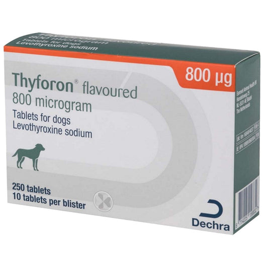 Thyforon 800mcg Flavoured Tablets for Dogs 250s