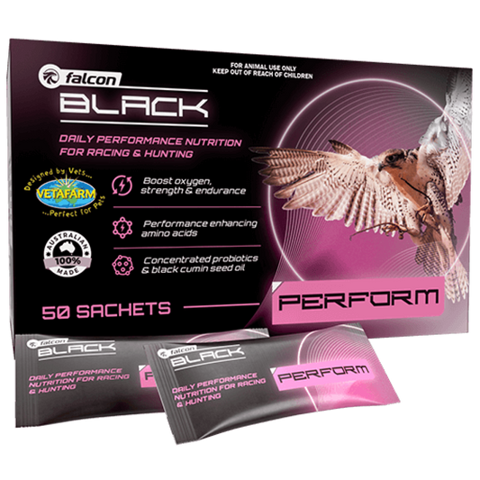 Falcon Black Perform 50 sachets