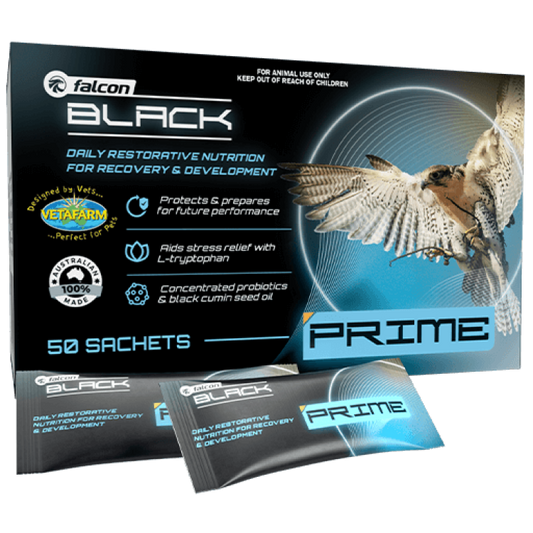 Falcon Black Prime 50 sachets