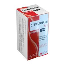 Cefalomash 1 gm I.V I.M 1 Vial + 1 Solvent