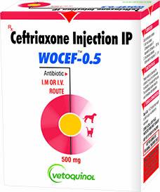 WOCEF-0.5