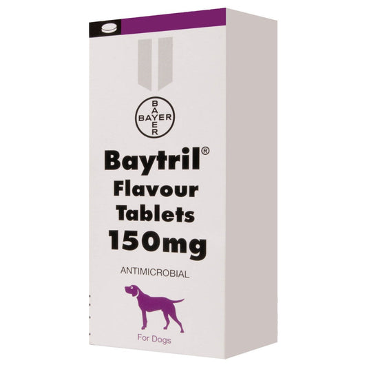 Baytril 15mg Flavoured Tablets for Cats and Dogs 100 tabs