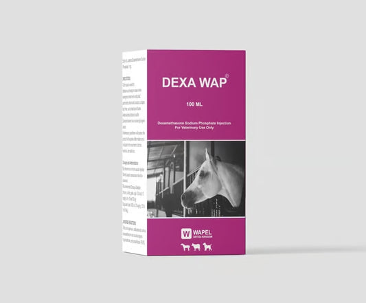 DEXA WAP 100 ML WAPEL