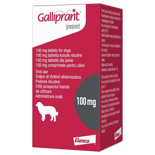 Galliprant 100mg Flavoured Tablets for Dogs 30s