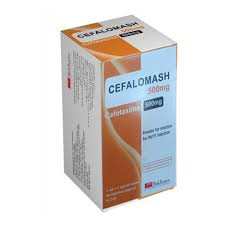 Cefalomash 500 gm I.V I.M 1 Vial + 1 Solvent