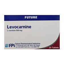 Levocarnine 500 Mg 100 Tab