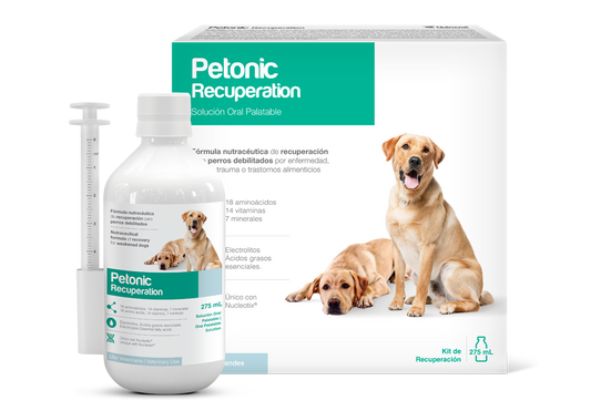 Petonic Recuperation 110 ML