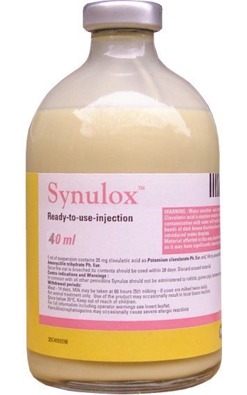 Synulox rtu 100 ml. inj.