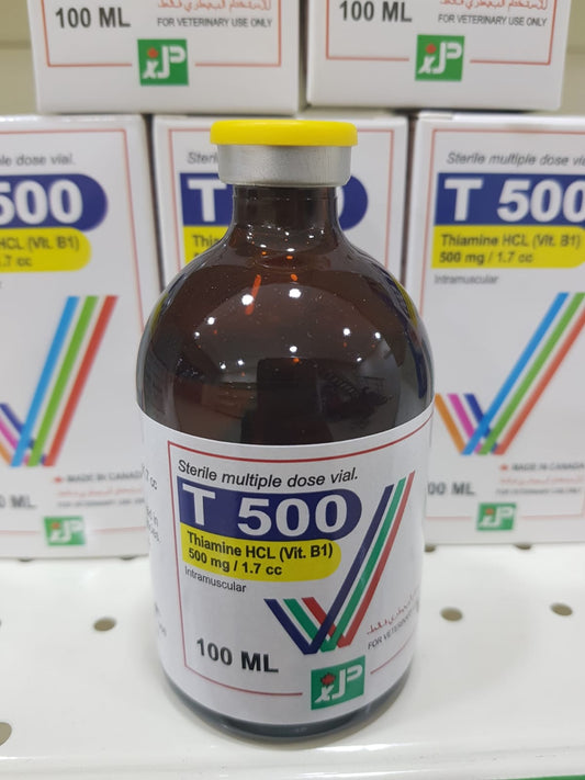 T 500 100 ML