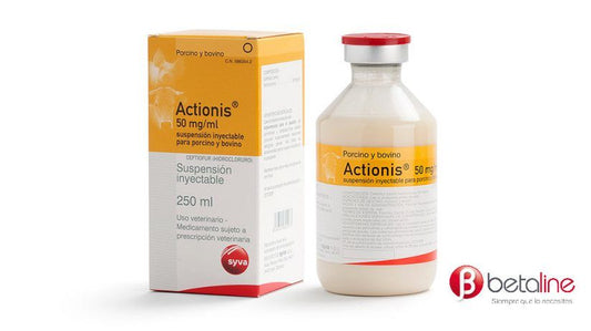 Actionis® 50 mg/mL 100 ml