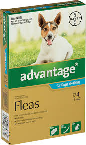 Advantage - Flea Treatment for Medium Dogs 4-10kg
