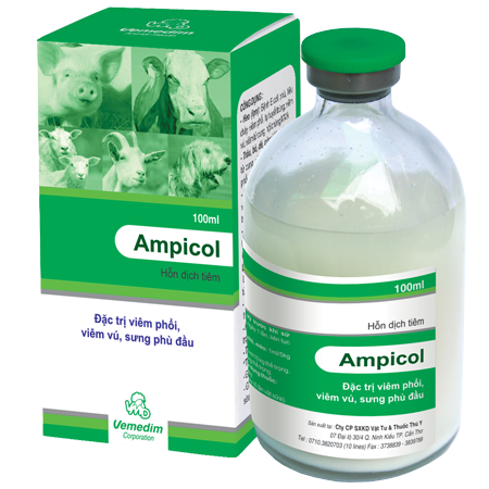 Ampicol_chai_