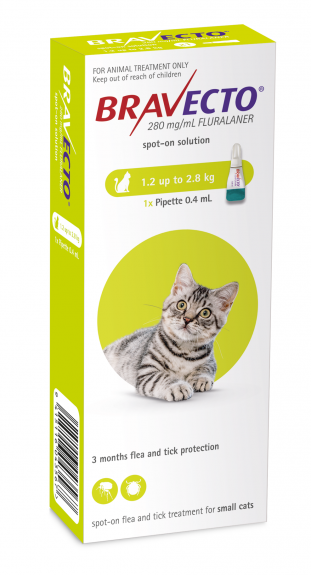 Bravecto 112.5mg Spot-On Solution For Small Cats (1.2kg - 2.8kg)