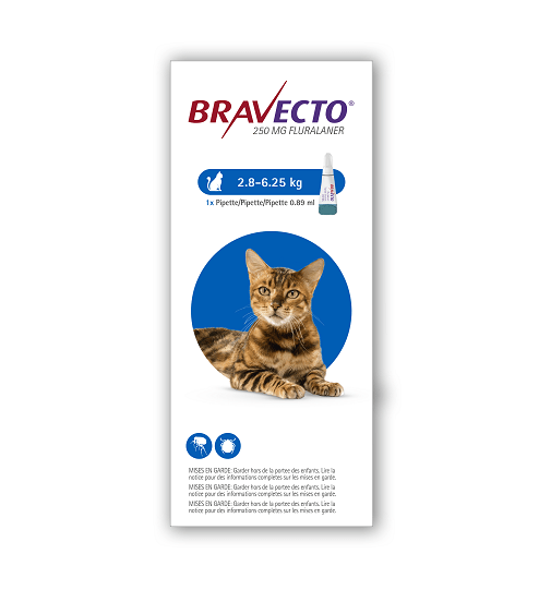 Bravecto – Spot-On Solution for Medium Cats (Single Pipette) 250mg