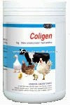 Coligen-Veterinary-Medicine-