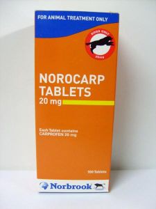 Norocarp 20 mg 10 tabs