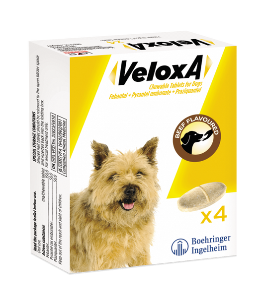 VELOXA® WORMING TREATMENT FOR DOGS 4 tabs