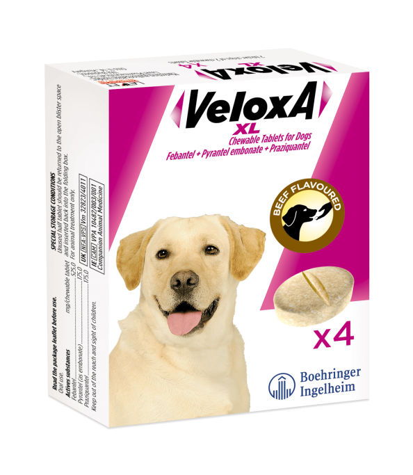 VELOXA® XL WORMING TREATMENT FOR LARGE DOGS 4 tabs