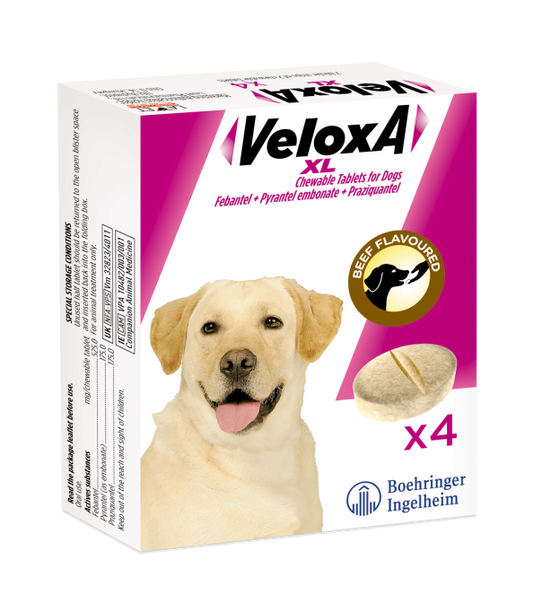 VELOXA® XL WORMING TREATMENT FOR LARGE DOGS 4 tabs
