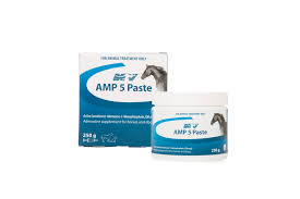 amp5 paste