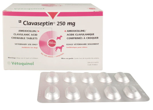 Clavaseptin 250 mg 100 tab