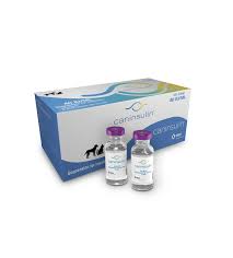 Caninsulin®VetPen® – 1 Vial 2.7 ml