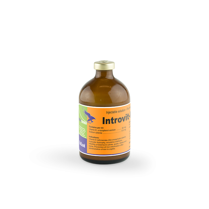 Introvit Inject Introvit-E-Selen – torsineen
