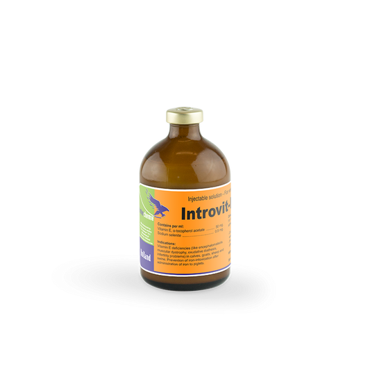 introvit-e-selen_-100_ml_vial_