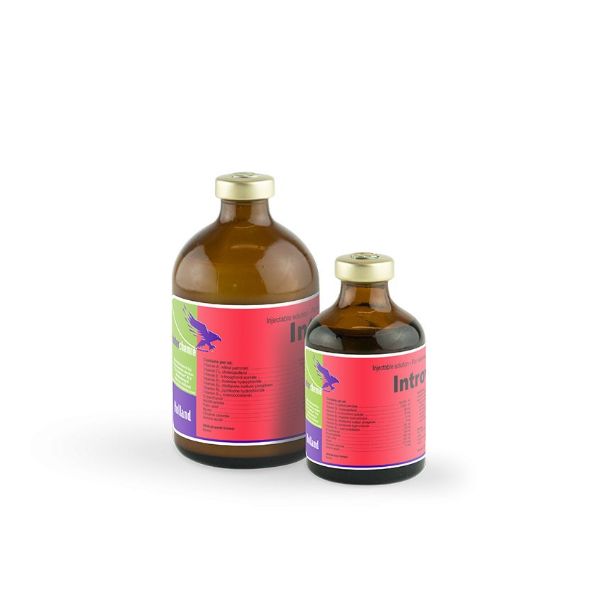 Introvit Introvit 100 ml – torsineen