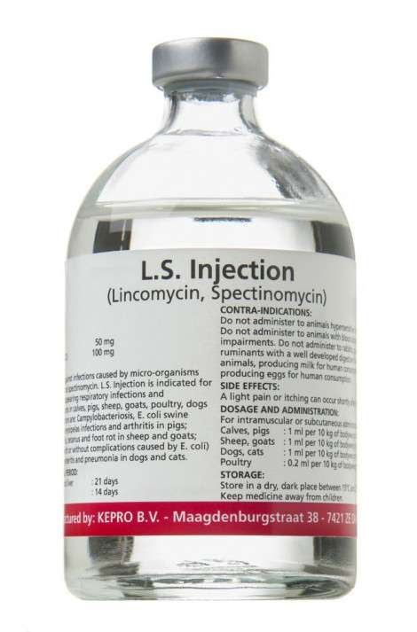 LINCO SPECTIN 100 ml