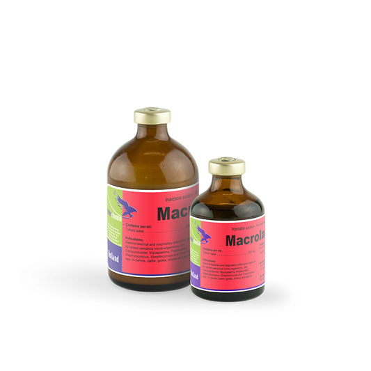 macrolan-200-100_and_50_ml_vial_
